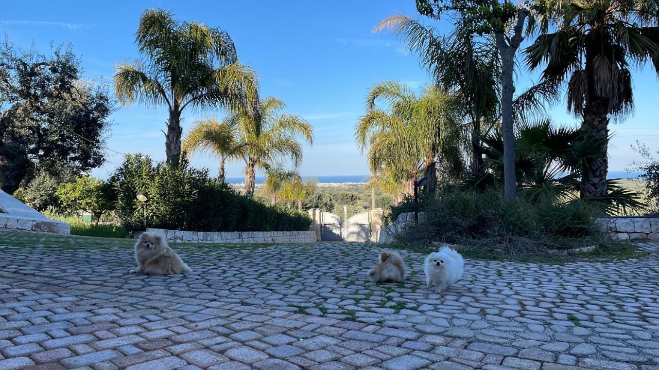 Alla Villa Di Angelo Monopoli Eksteriør billede