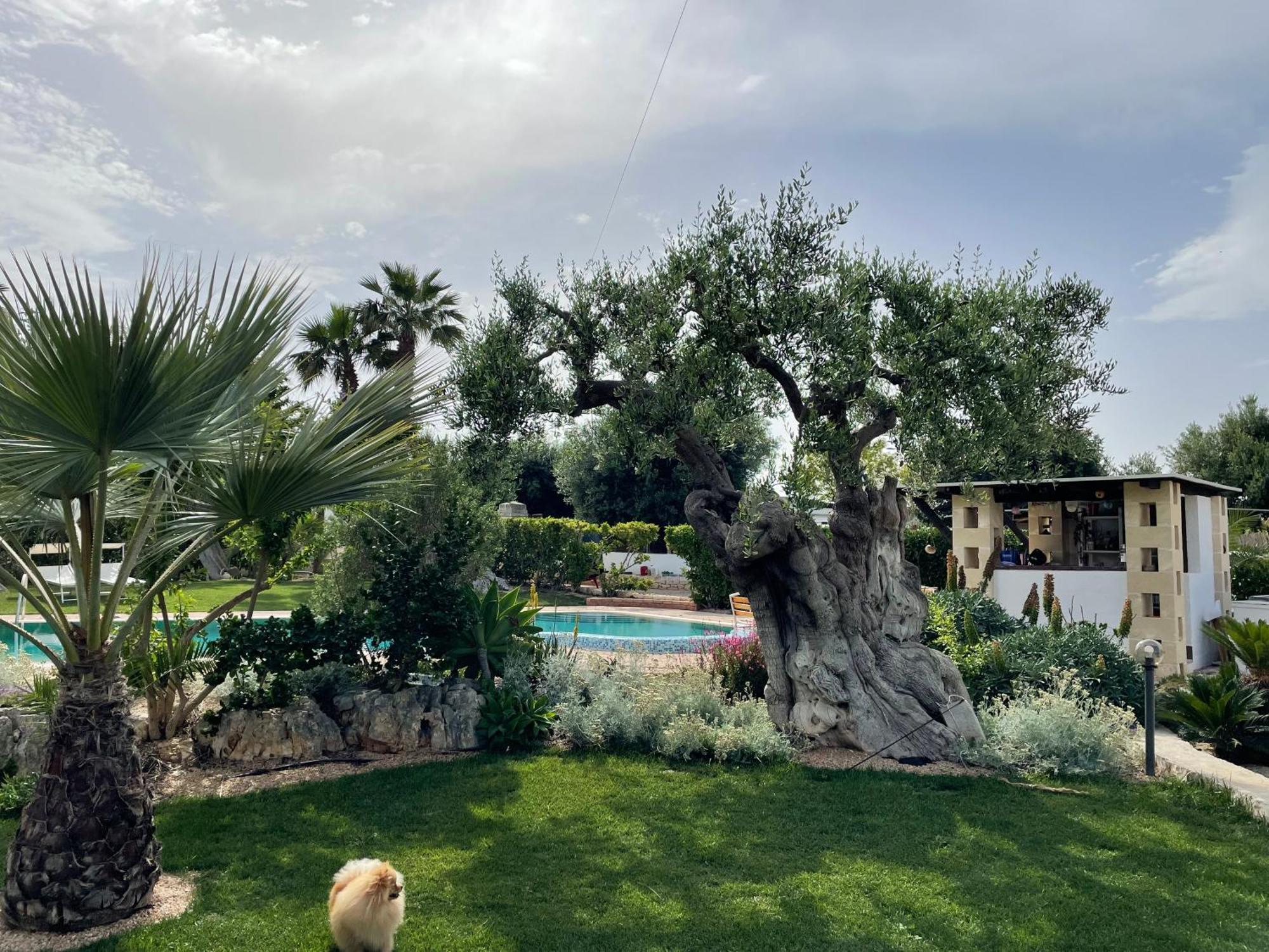 Alla Villa Di Angelo Monopoli Eksteriør billede