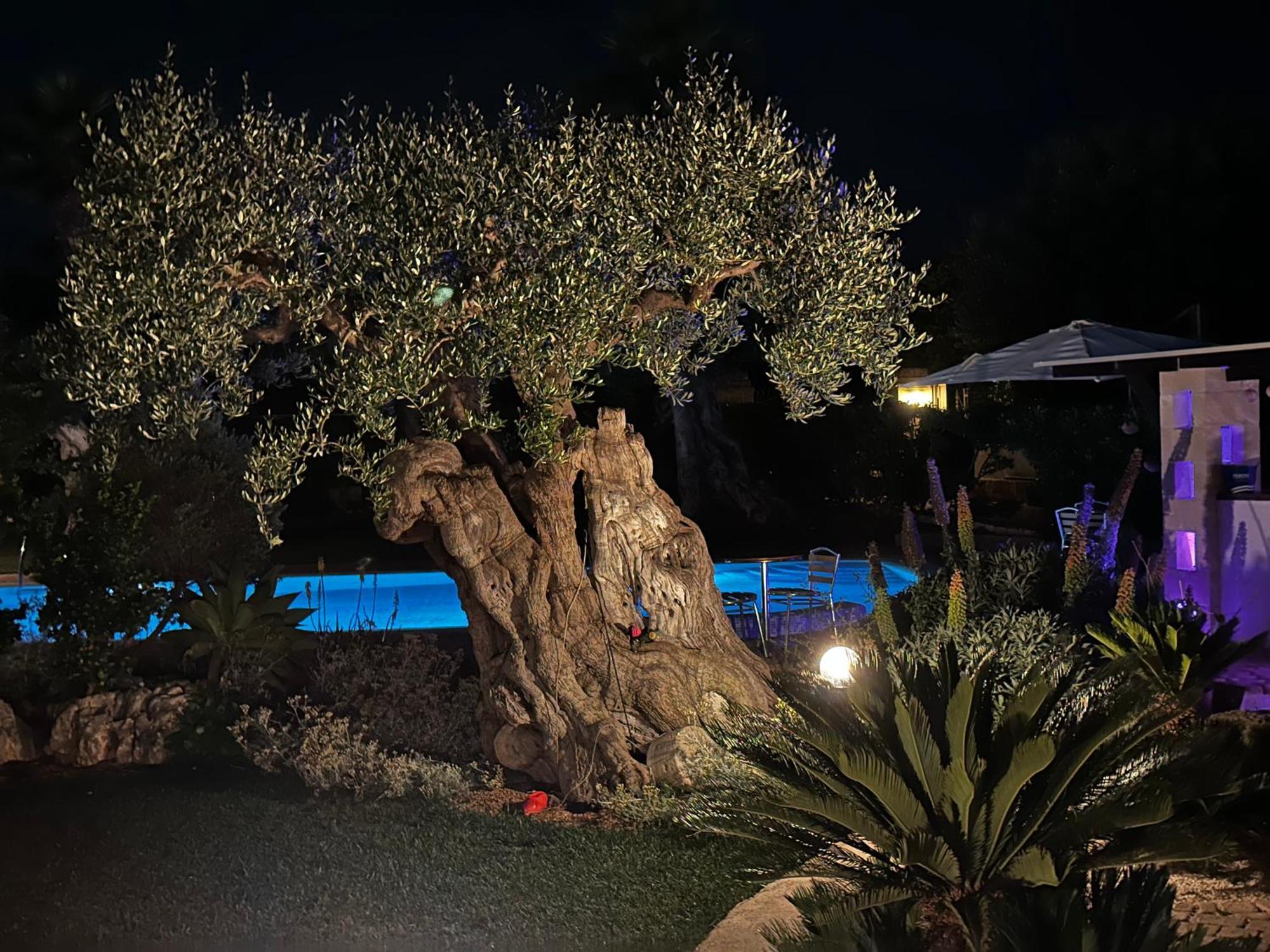 Alla Villa Di Angelo Monopoli Værelse billede